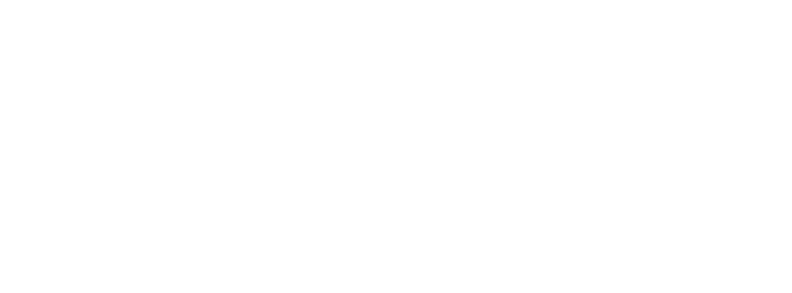 DM Artz